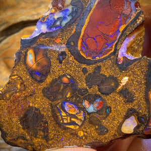 299.1cts - Yowah Nut Conglomerate Rough Piece. Featured On ‘OUTBACK OPAL HUNTERS’!!
