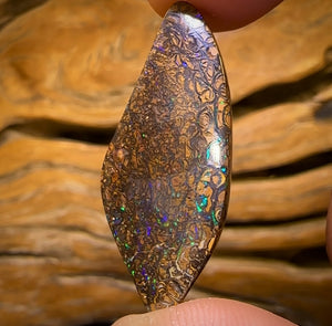 22.6cts - Tight Tribal Yowah Nut Opal. Australian Opal