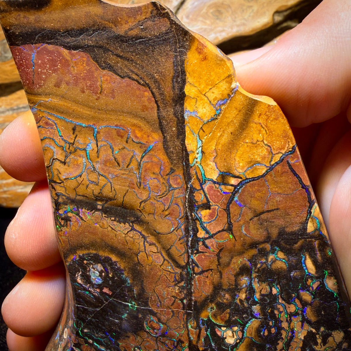4278cts(Nearly 1 kg) - GIANT Tribal Yowah Nut Opal Pair. Polished Specimens