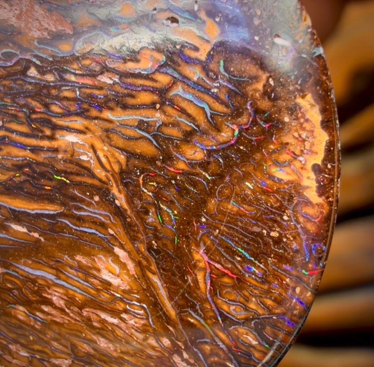 33 x 33mm - Drilled Tribal Queensland Boulder Opal Necklace