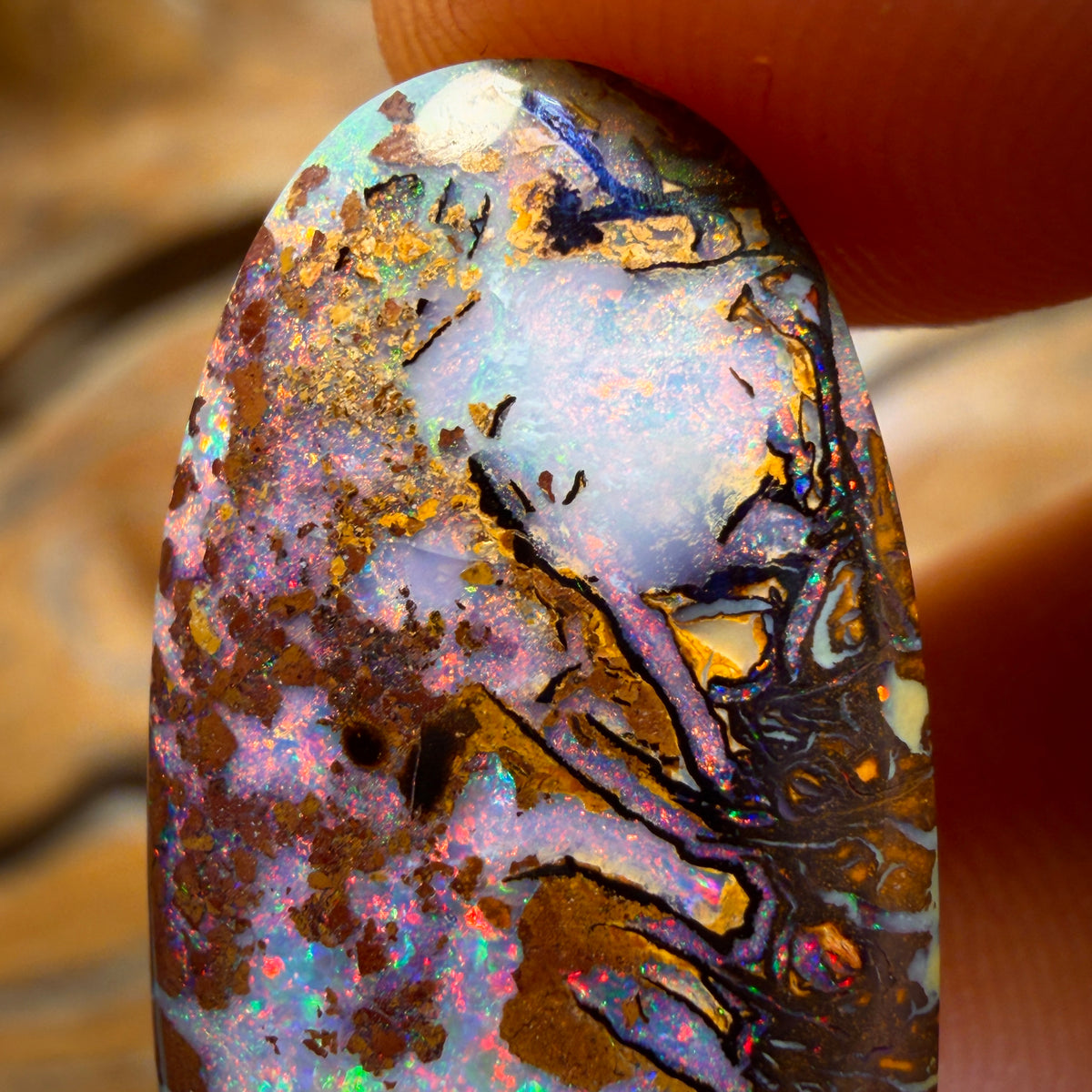 🔨 AUKTION 🔨 Ohne Mindestpreis 27,8cts – Tribal Queensland Boulder Opal. Rot, mehrfarbig