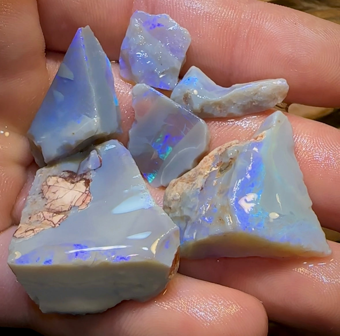 109cts - 6x Lightning Ridge Crystal and Dark Opal Rough Parcel - Opal Whisperers