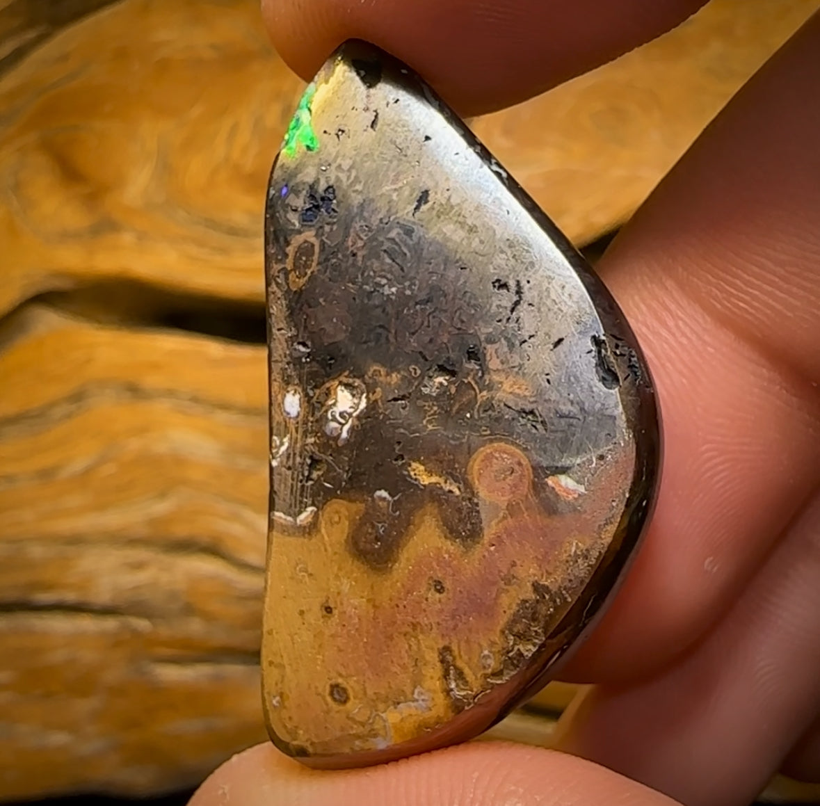 71.4cts - Rare Tribal Black Boulder Opal from Koroit