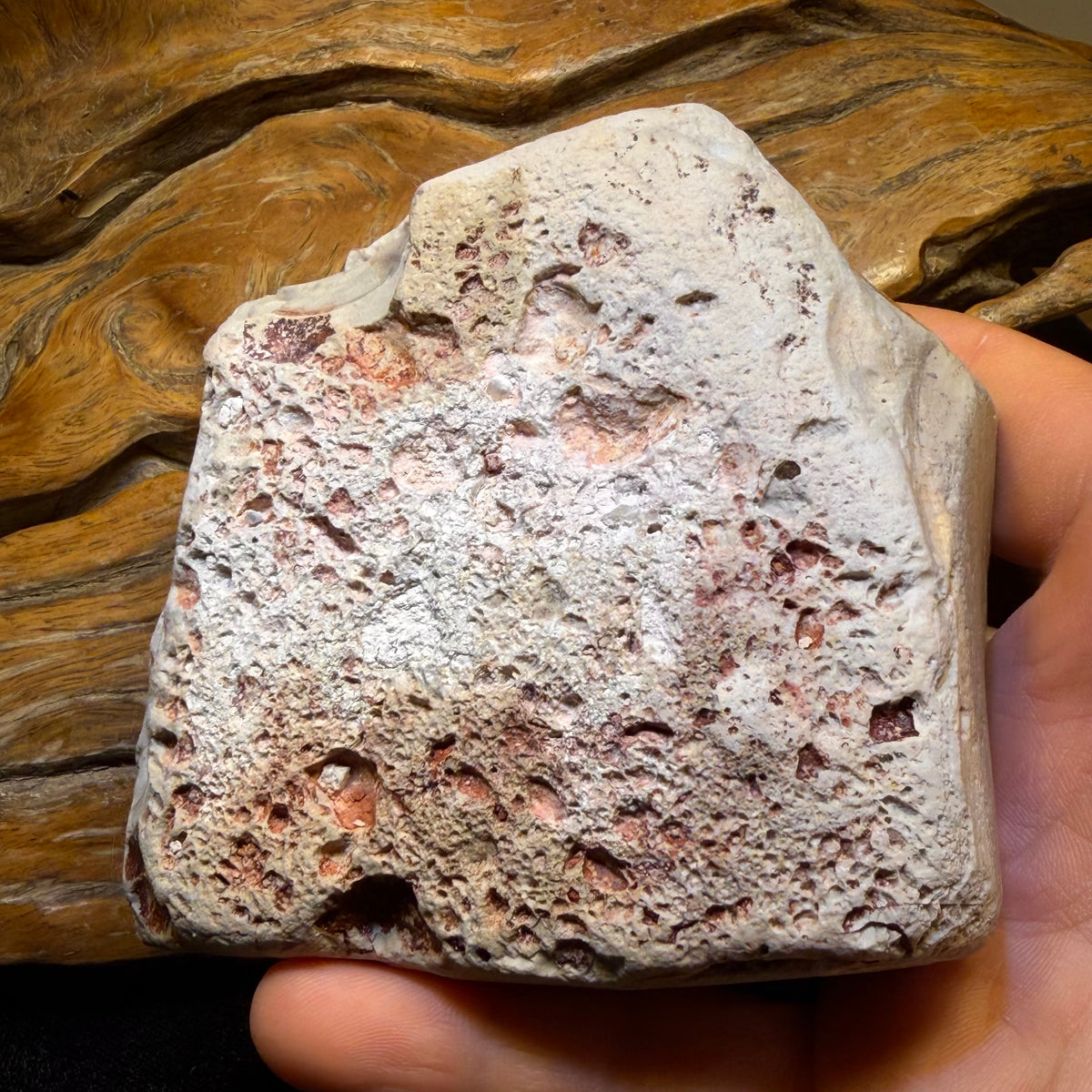 2075cts - HUGE Lightning Ridge Potch Opal Rough Piece 10c per ct