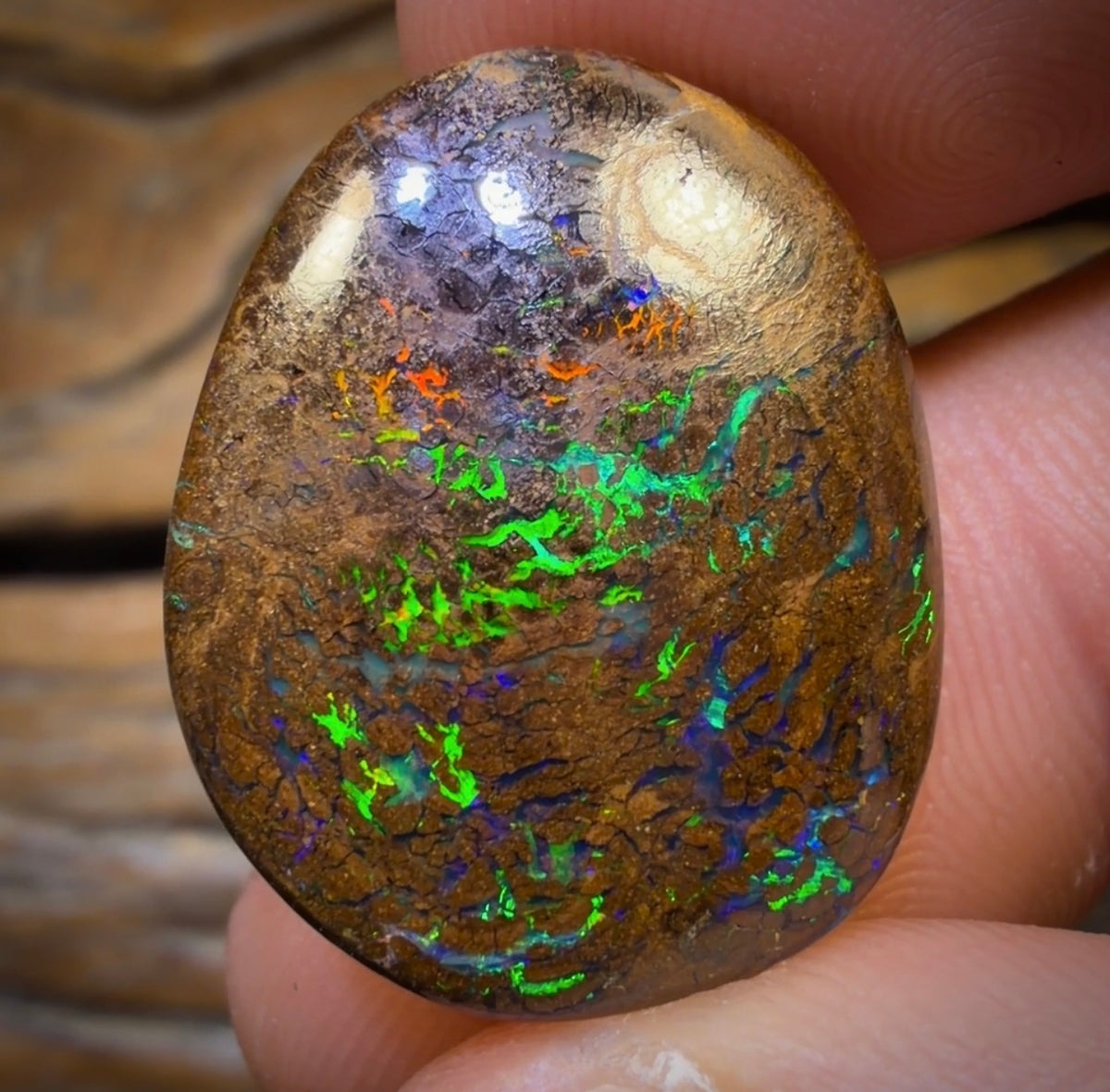 32.2cts - Top Bubbleband Opal from Winton. Australian Opal