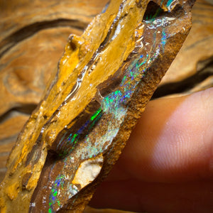 293,7 ct - Yowah Opal Rohstück. Keksband