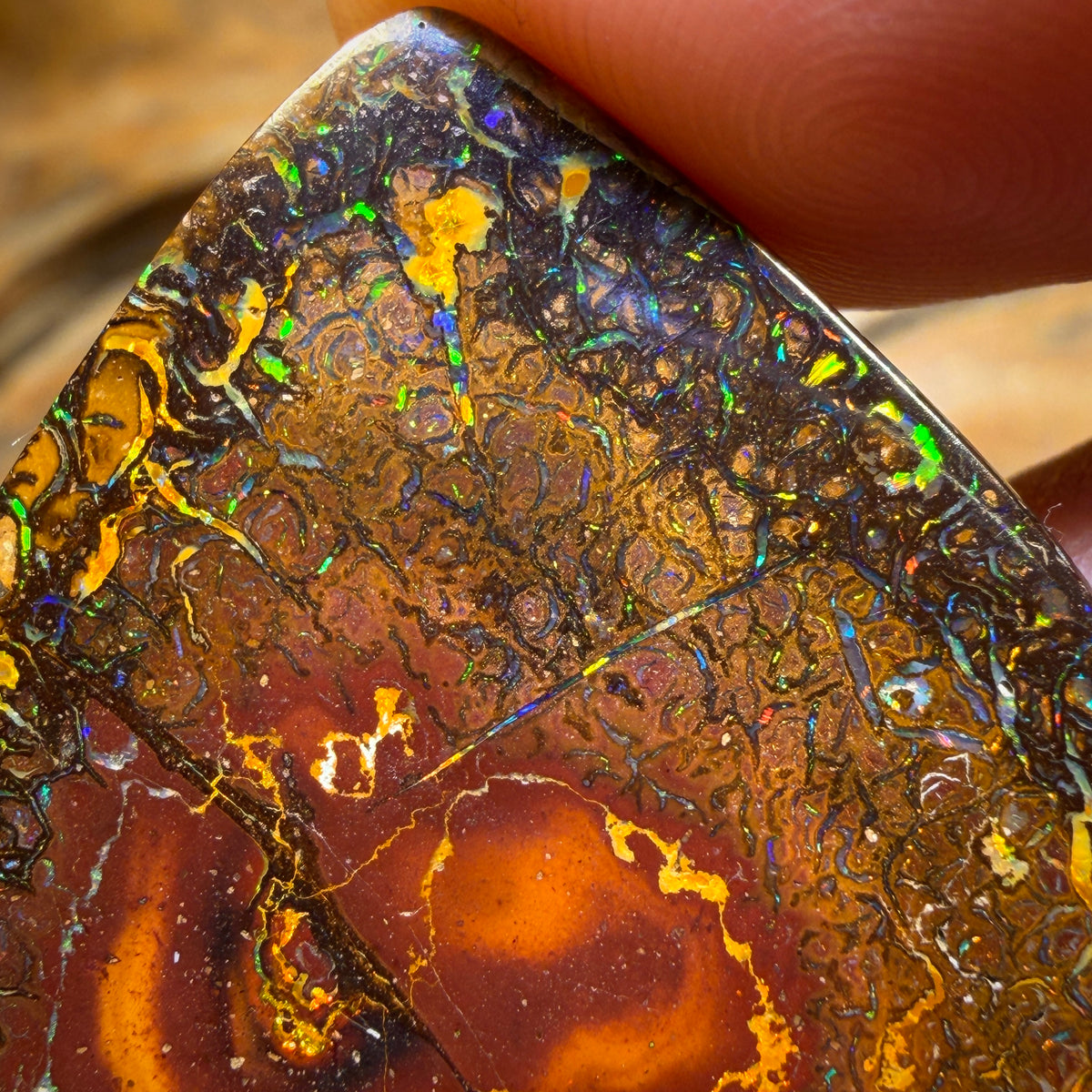 44.8cts - Electric Tribal Queensland Boulder Opal from Yowah