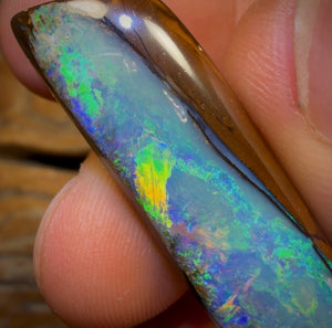 96.2cts - “Adams Rib”GEM Fossil Crystal Opal. Isaac’s Cut!