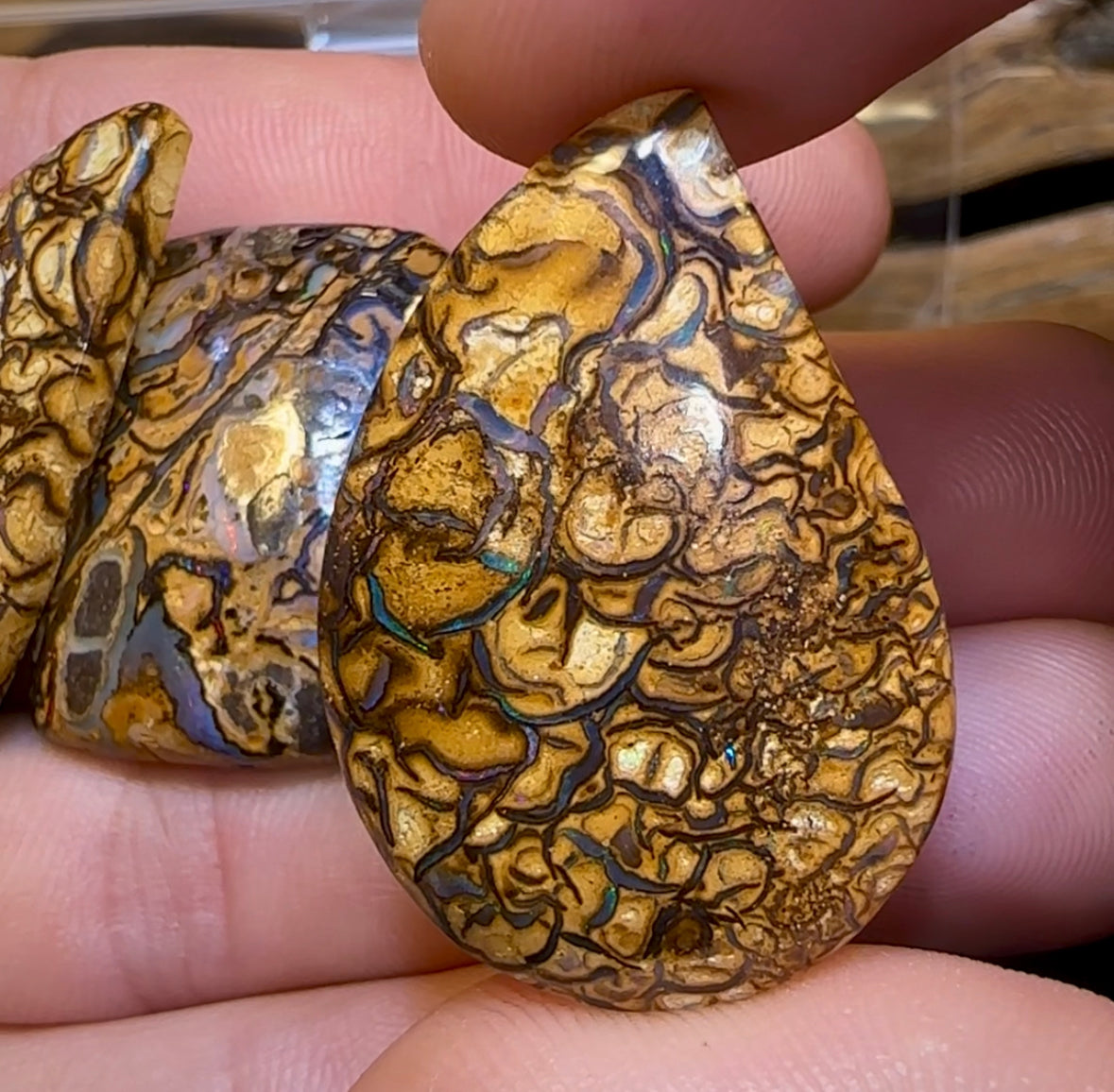 Yowah Tribal Opal Parcel. BULK LISTING - 5 FOR $499 PLUS 6th ONE FREE!!! - Opal Whisperers