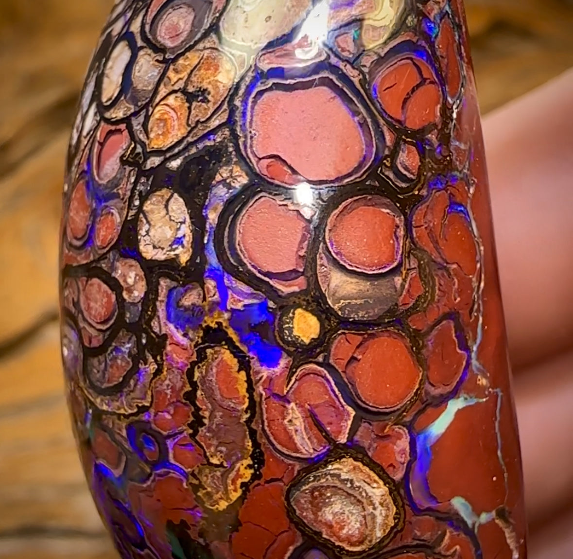 396.1cts - ISAACS CUT!! Large Top Tribal Queensland Boulder Opal Polished Specimen