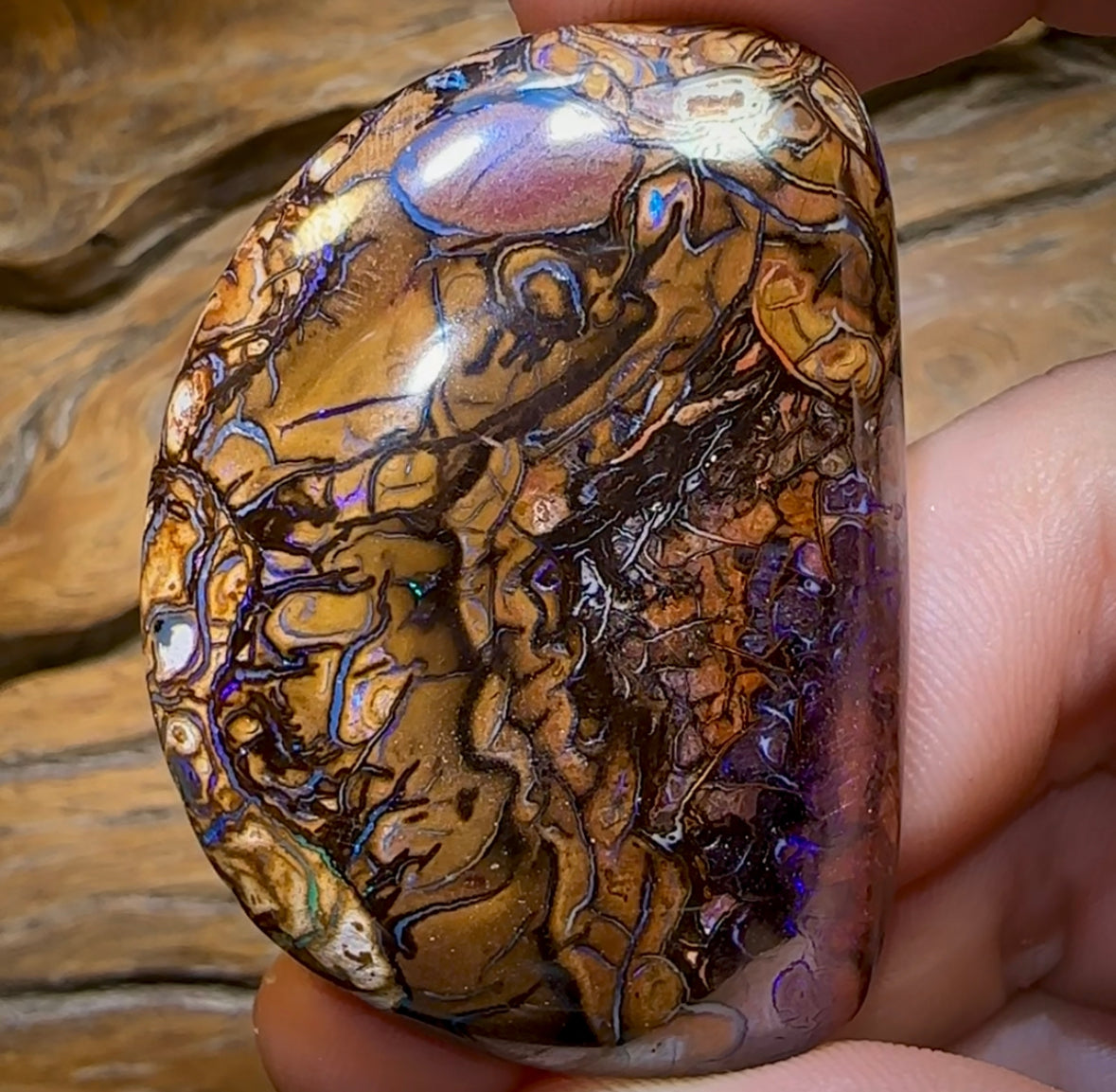 156.7cts - Large Yowah Nut Tribal Opal - Opal Whisperers