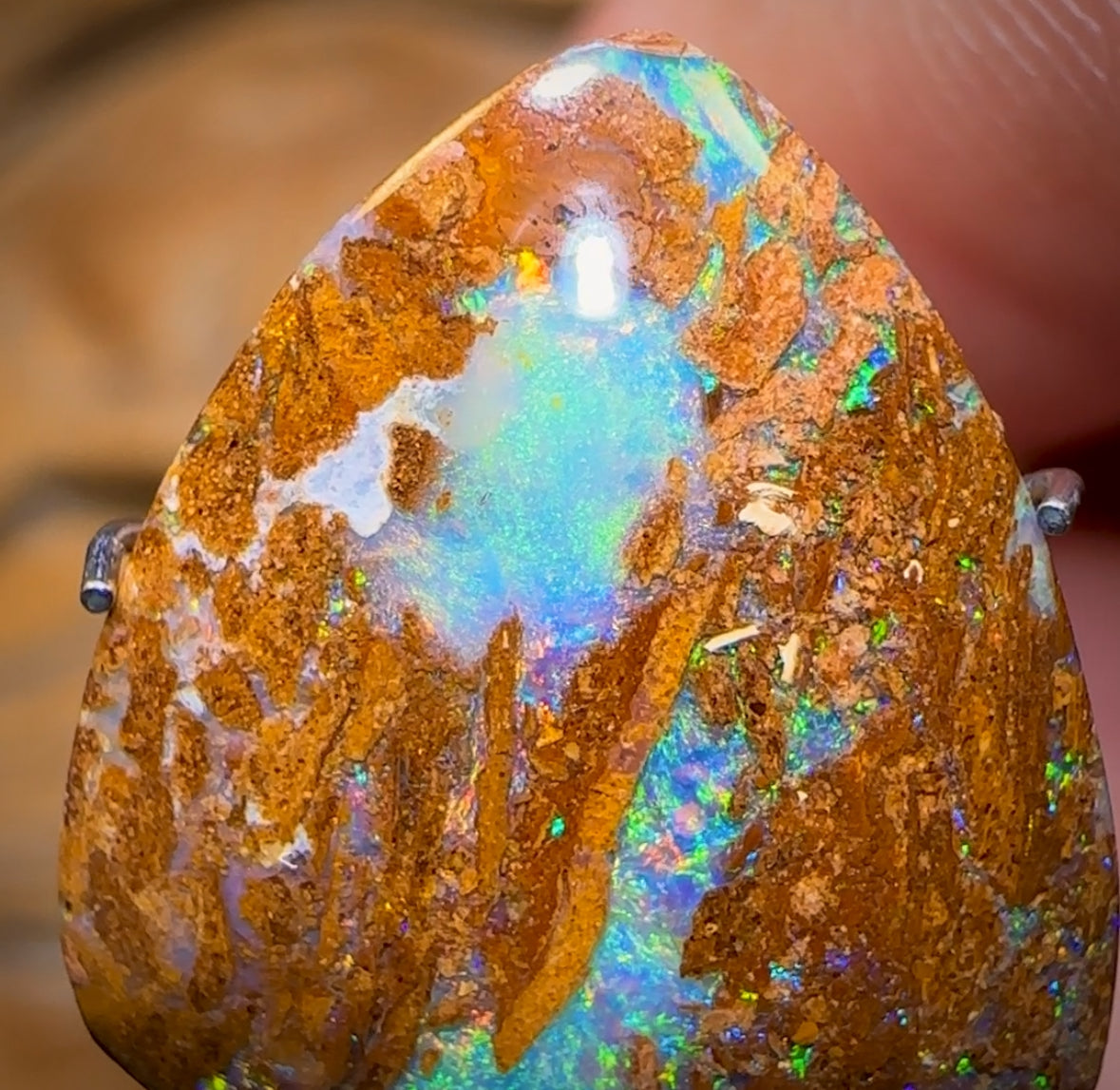 4.9cts - Australian Boulder Pipe Opal from Yowah