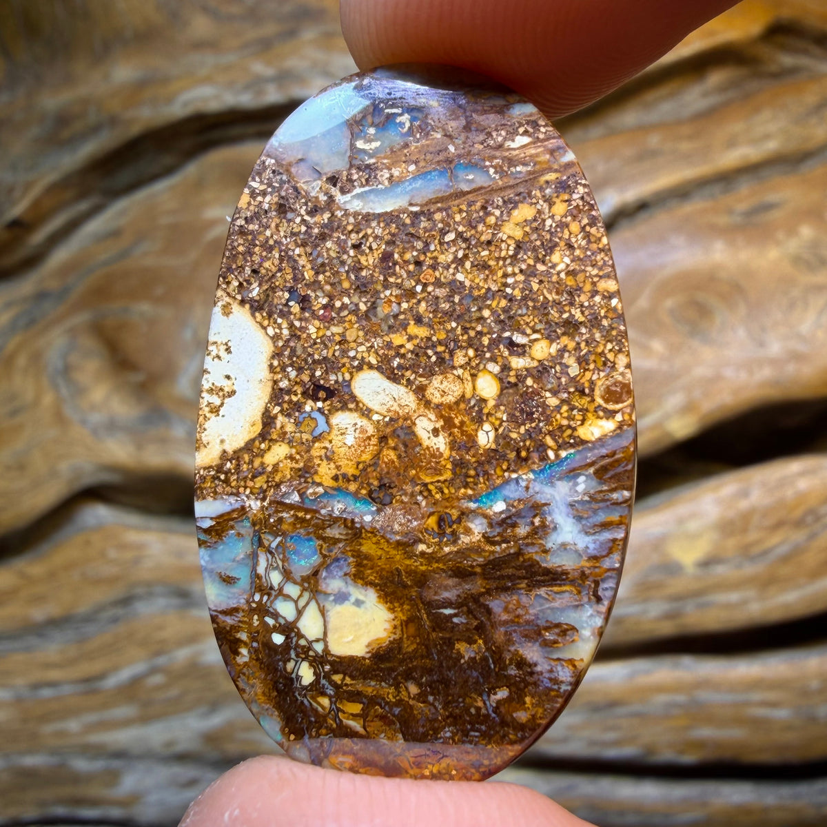 TGIF 26.9cts - “Cathedral Landscspe” Wood Fossil Replacement Boulder Opal from Yowah