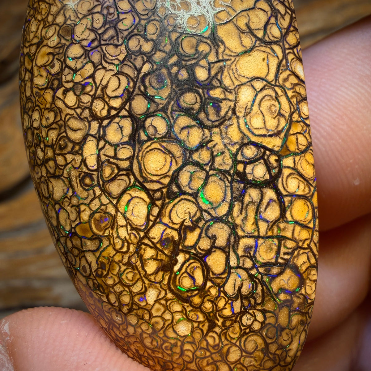 (AO) 107.6cts - Large Tan Tribal Queensland Boulder Opal from Yowah