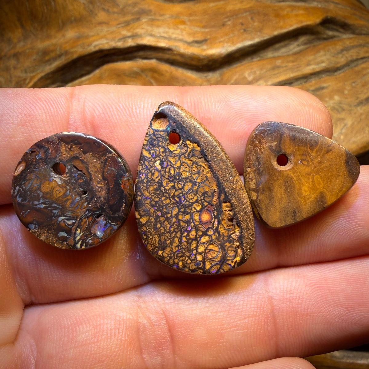 60.6cts - 3x Drilled Queensland Boulder Opals. BARGAIN Wholesale Parcel