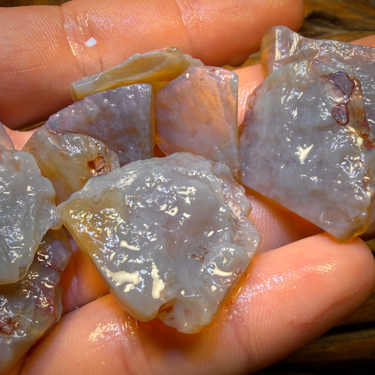 187cts - 11x Lightning Ridge Opal Rough Parcel. Practice Potch