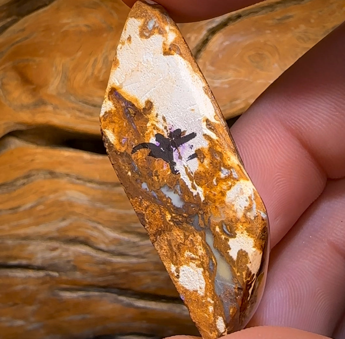 78.9cts - Large Australian Boulder Wood Fossil Opal