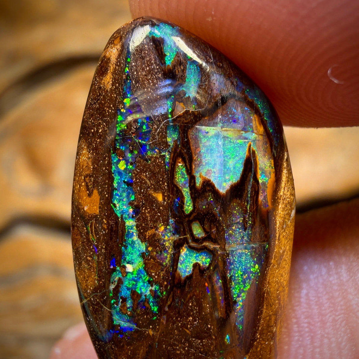 17.9cts - “Cathedral” Top Wood Fossil Replacement Boulder Opal from Yowah