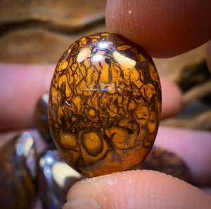 48 hour Vip Crazy Offer 99.8cts - 5x Australian Tribal Boulder Opal’s. Wholesale Dealers Parcel