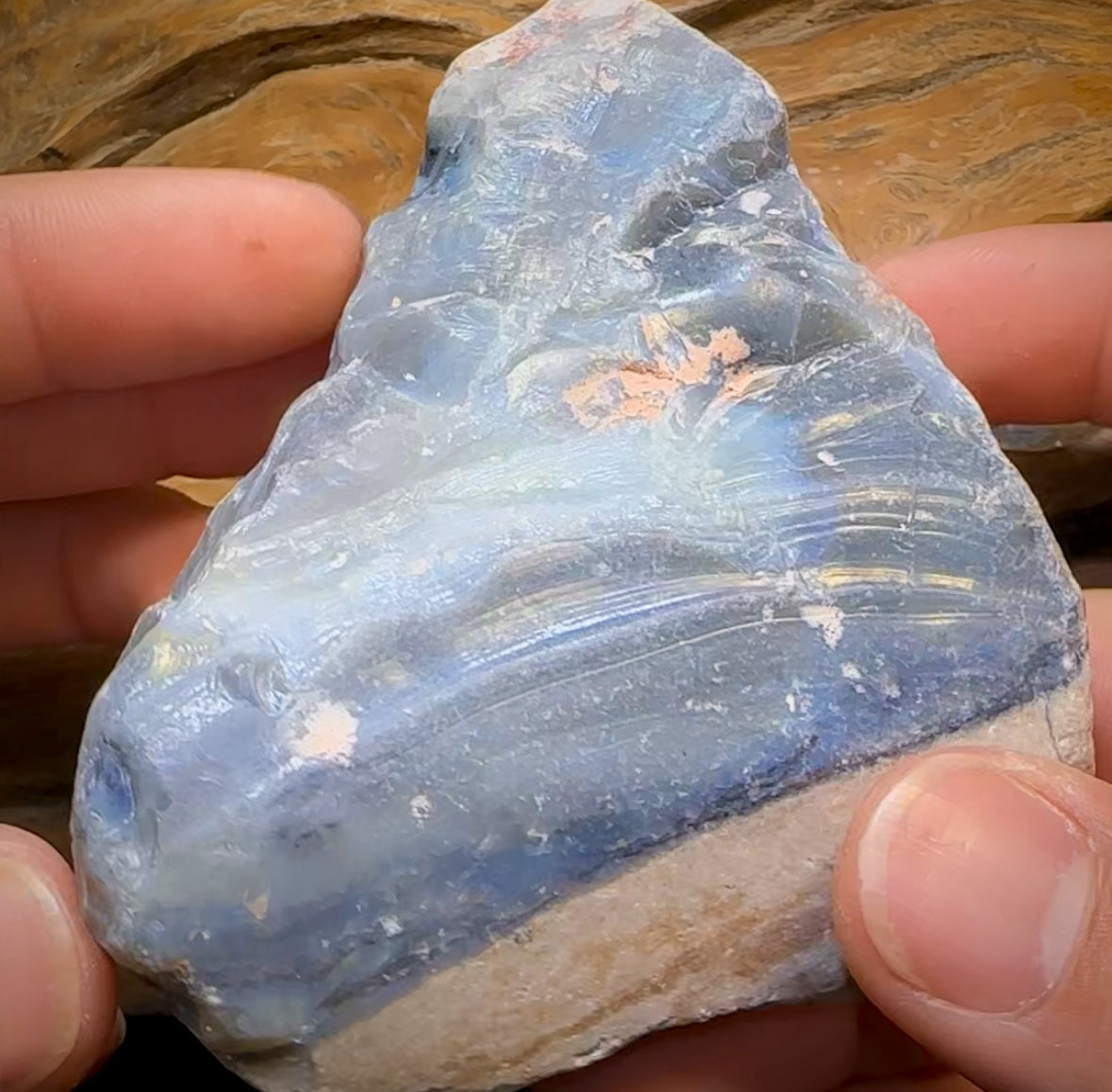 1544cts - HUGE Lightning Ridge Black Potch Opal Rough Piece Less than $0.20c/ Ct