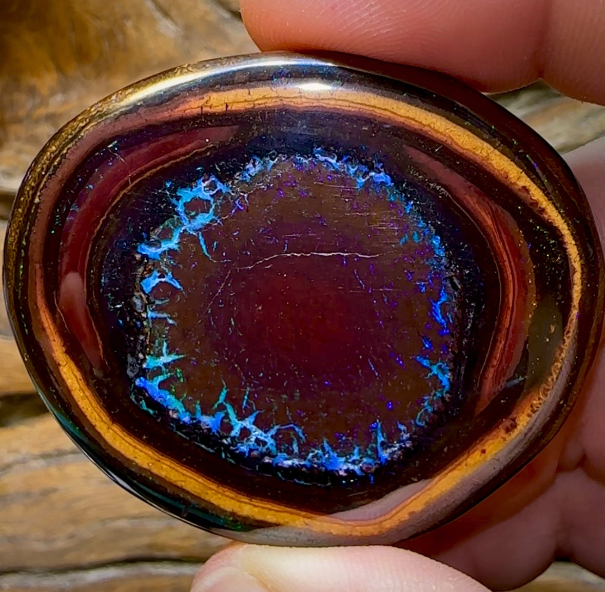 212.3cts -  “Mystic Eye”Polished Yowah Nut Opal Specimen - Opal Whisperers