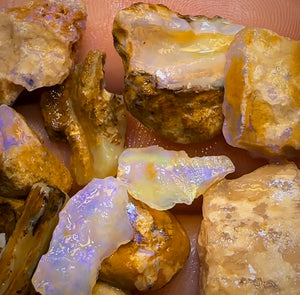 208.5cts - 25x Opalised Wood/Vegetation Fossil Rough Parcel from Yowah