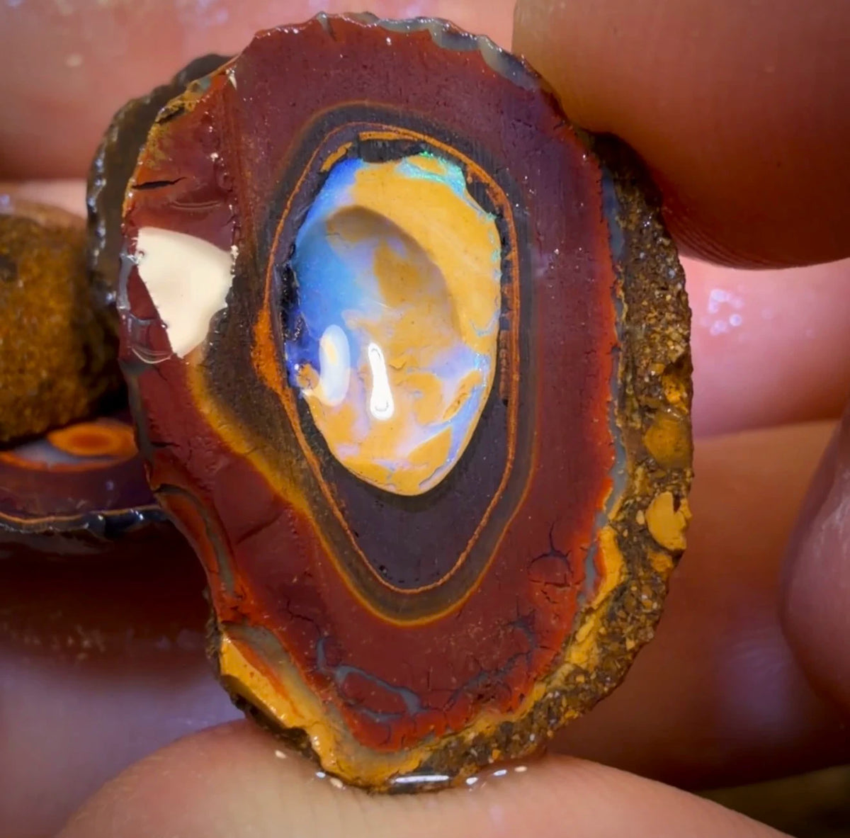 🔒89.1cts - 5x Yowah Nut Partial Crystal Centre Rough Specimen Parcel BARGAIN!