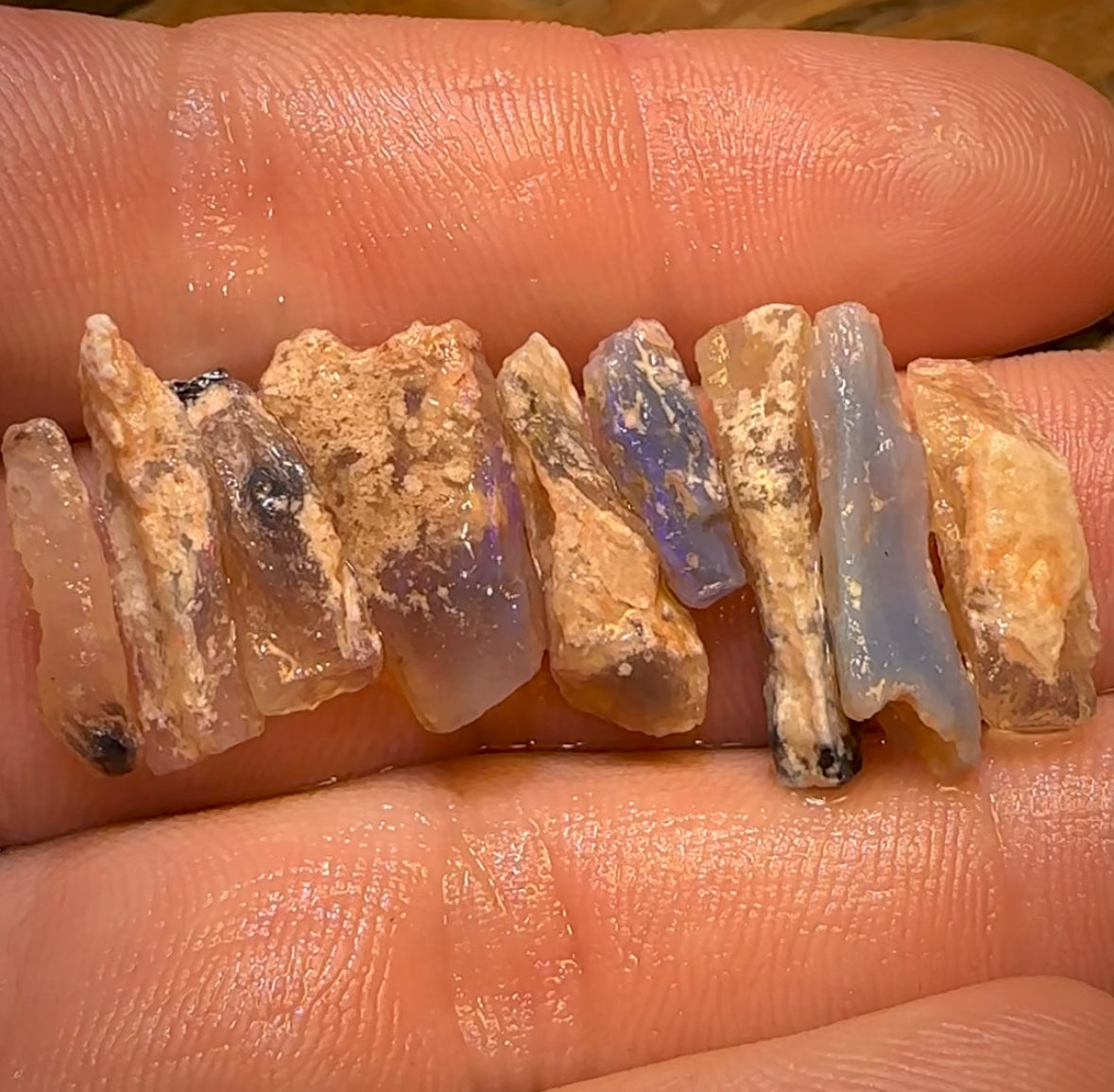 24.1cts - 9x Opalised Fossil Geological Specimens from Lightning Ridge