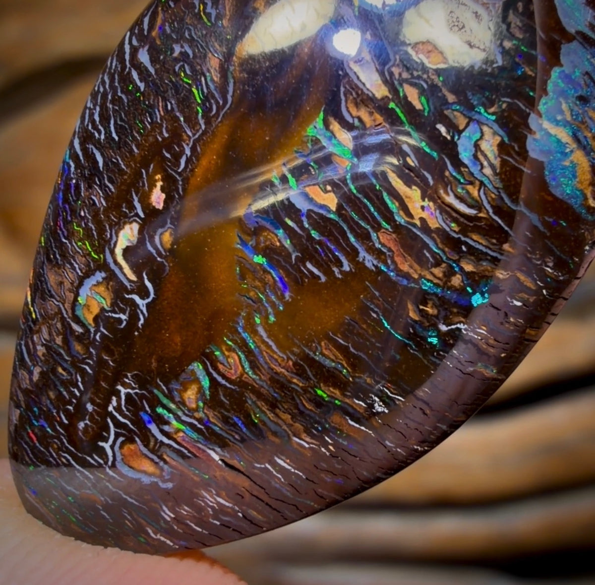 77.5cts - Wow Electric Tribal Australian Boulder Opal from Koroit Eye Kernal Reverse