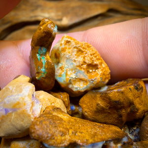 🔒307.5cts - 24x Opalised Wood/Vegetation Fossil Rough Parcel from Yowah