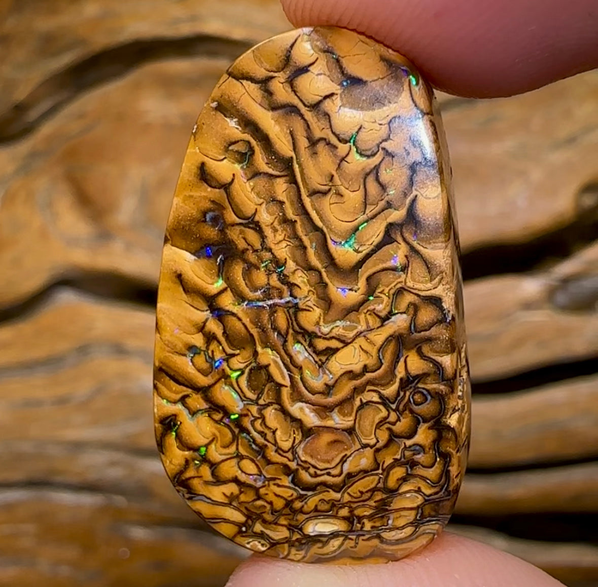48.5cts - Yowah Nut Tribal Opal. Double Sided Tan Tribal - Opal Whisperers