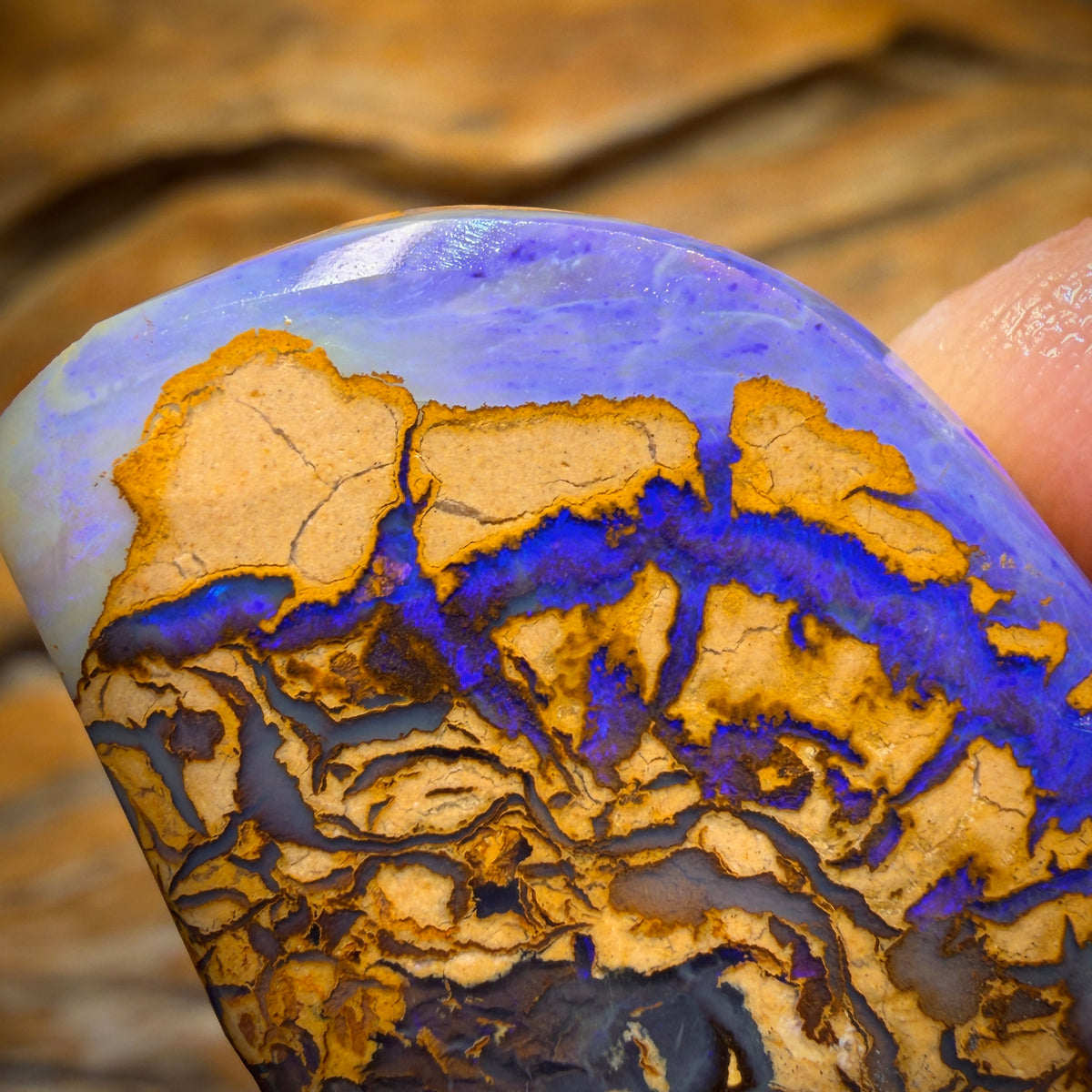 66,5 cts – OPALE TRIBALE YOWAH NUT BRUTE DE FROTTEMENT. Présentée dans « OUTBACK OPAL HUNTERS » !!