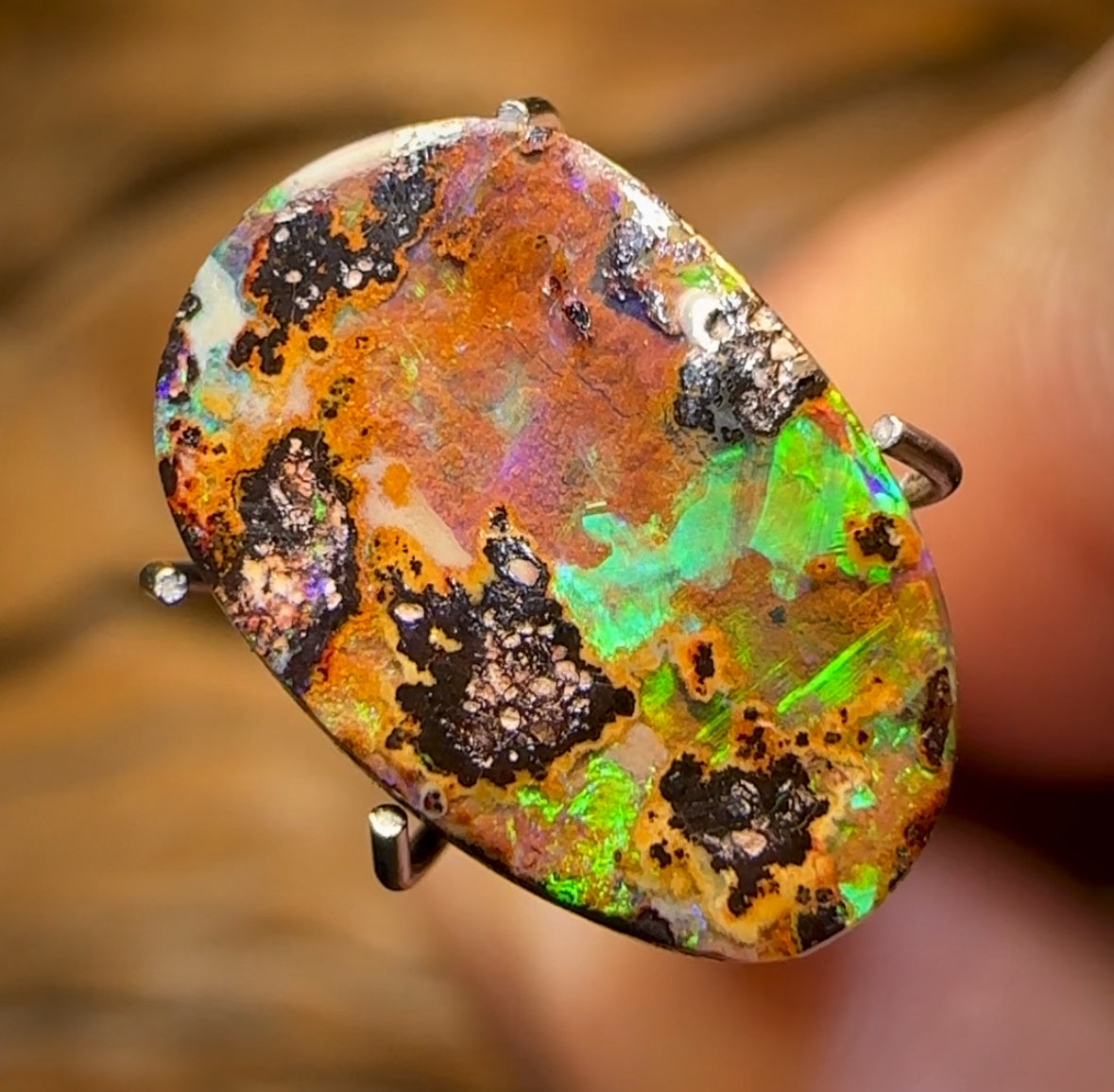 2.55cts - Queensland Boulder Seam Opal