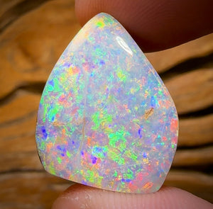 27.2cts - TOP GEM Australian Boulder Wood Fossil Opal From Yowah. Red Multicolours!