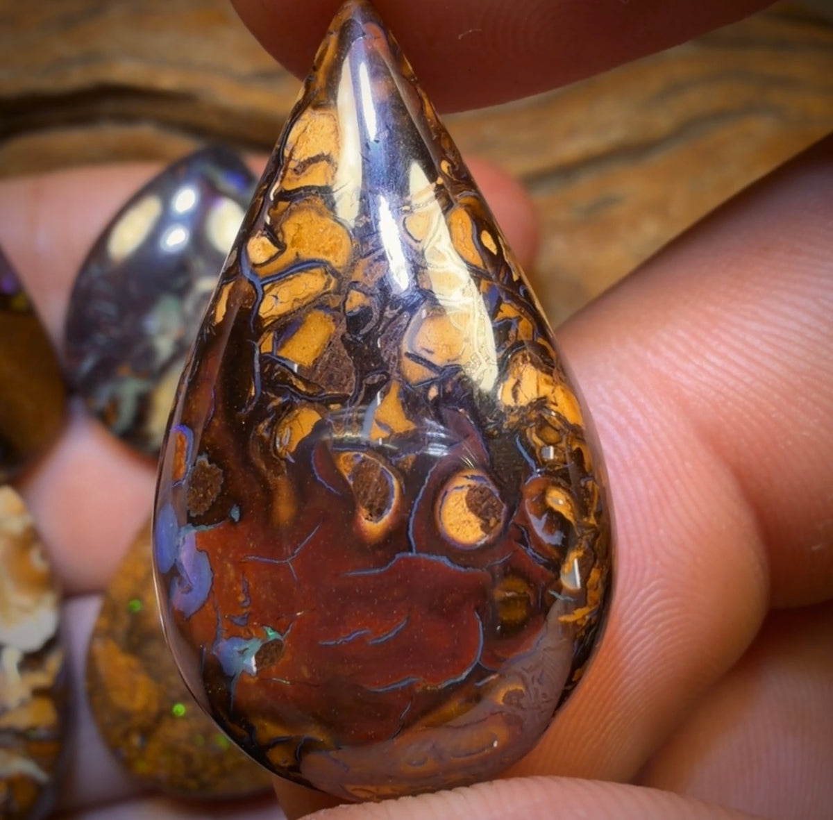 175.8cts - 5x Australian Tribal Boulder Opal’s. Wholesale Dealers Parcel