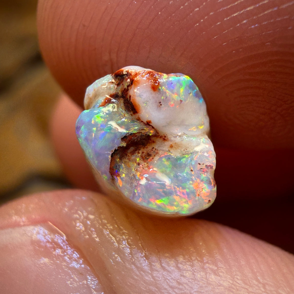 9.9cts - Opalised Belemnite Geological Specimen from South Australia