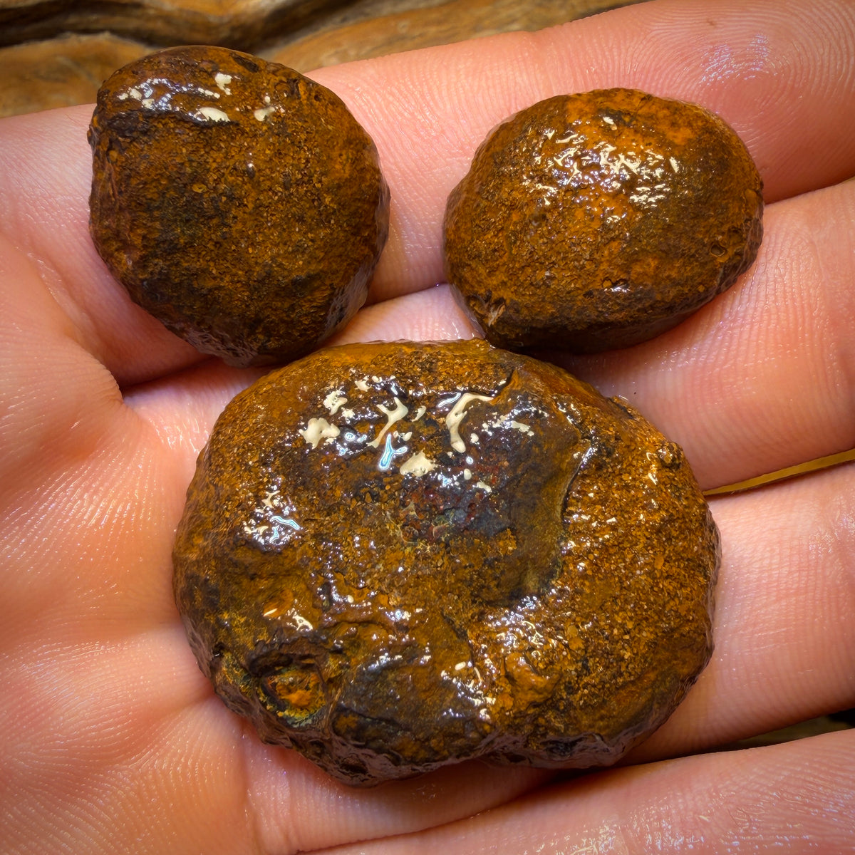 136.3cts - 3x Yowah Nut Crystal Centre Rough Specimen Parcel