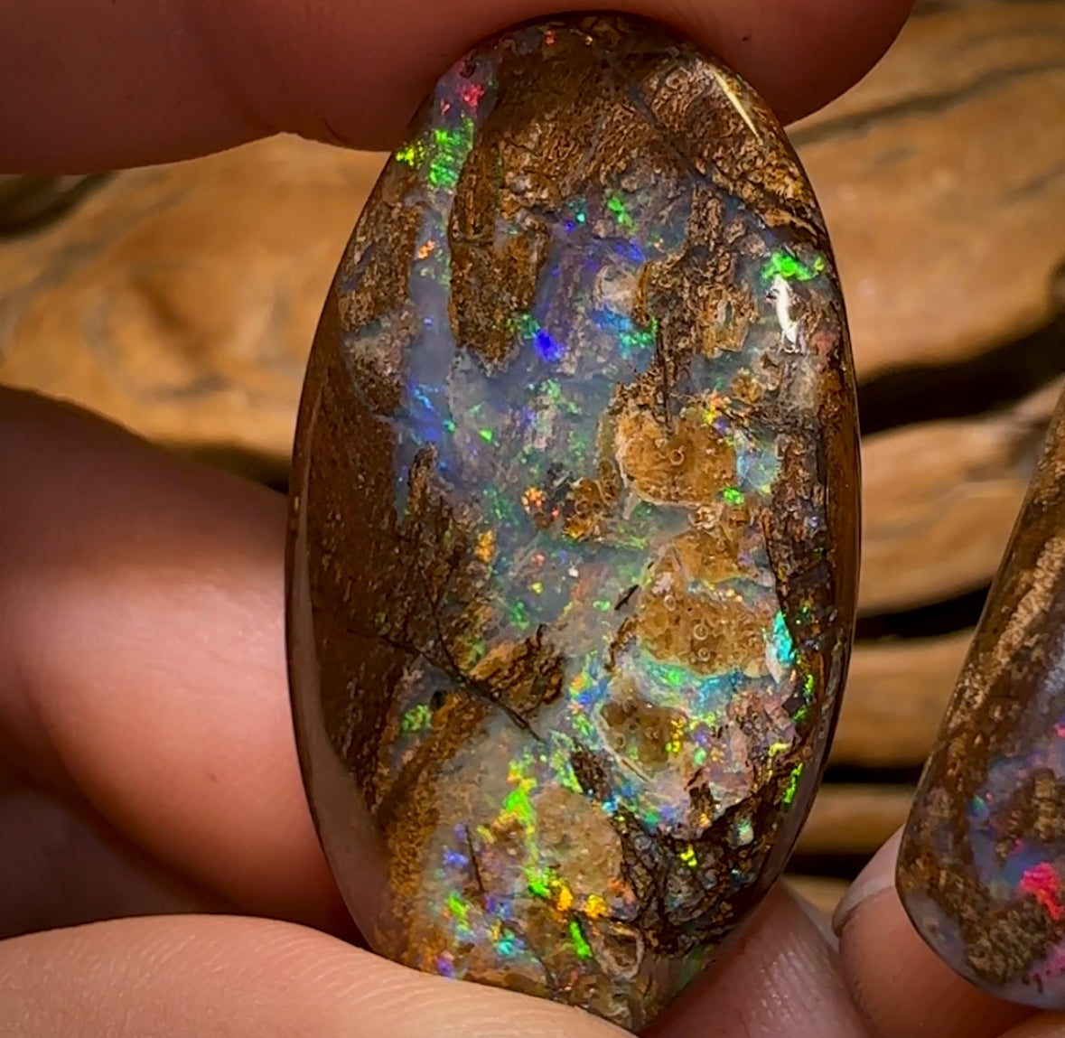 Auction Fall-Through = Your Gain! 🔥 117.5cts - Rare Australian Boulder Wood Fossil Opal Split Pair Bid for One Bid For Both