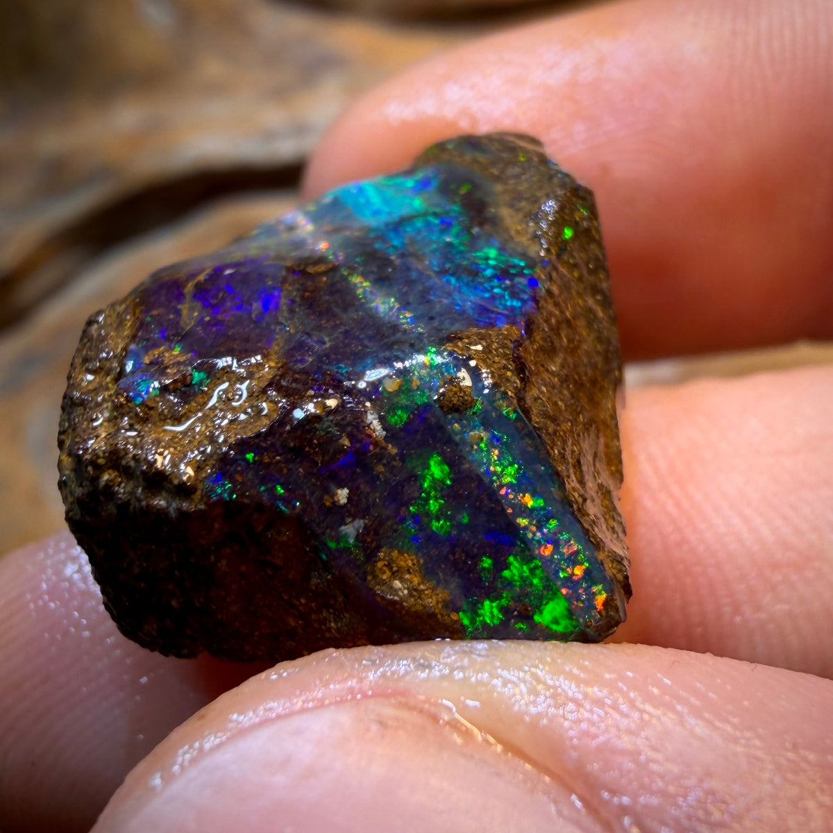 Dad Card! 39.4cts - Queensland Boulder Seam Opal Rough Piece. Natural Split