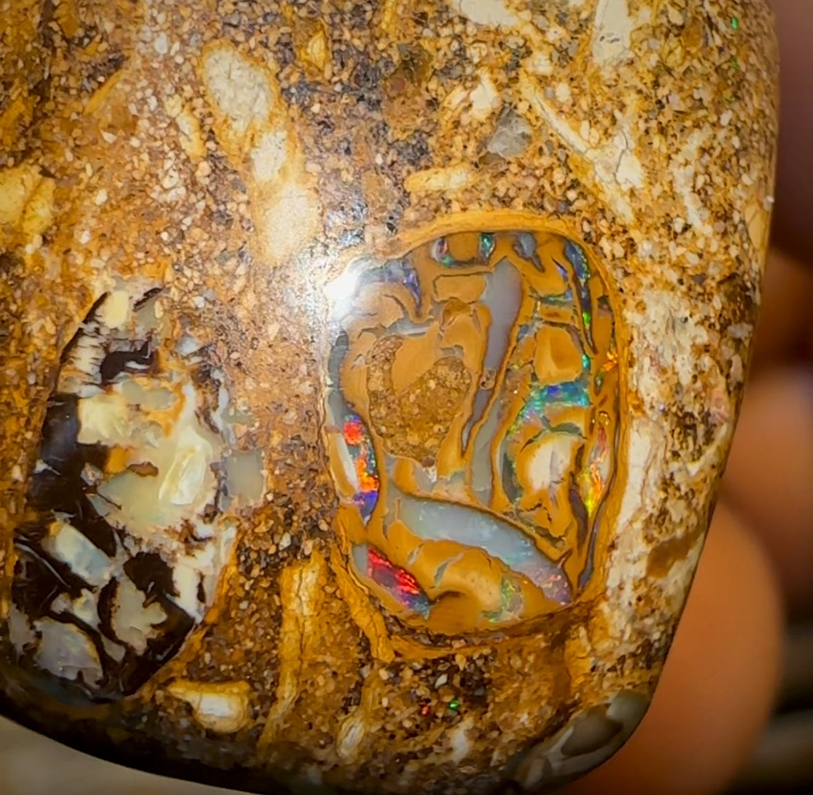 26 x 20mm - Drilled Boulder Opal Pendant w/ Eco Friendly Vegan Cord