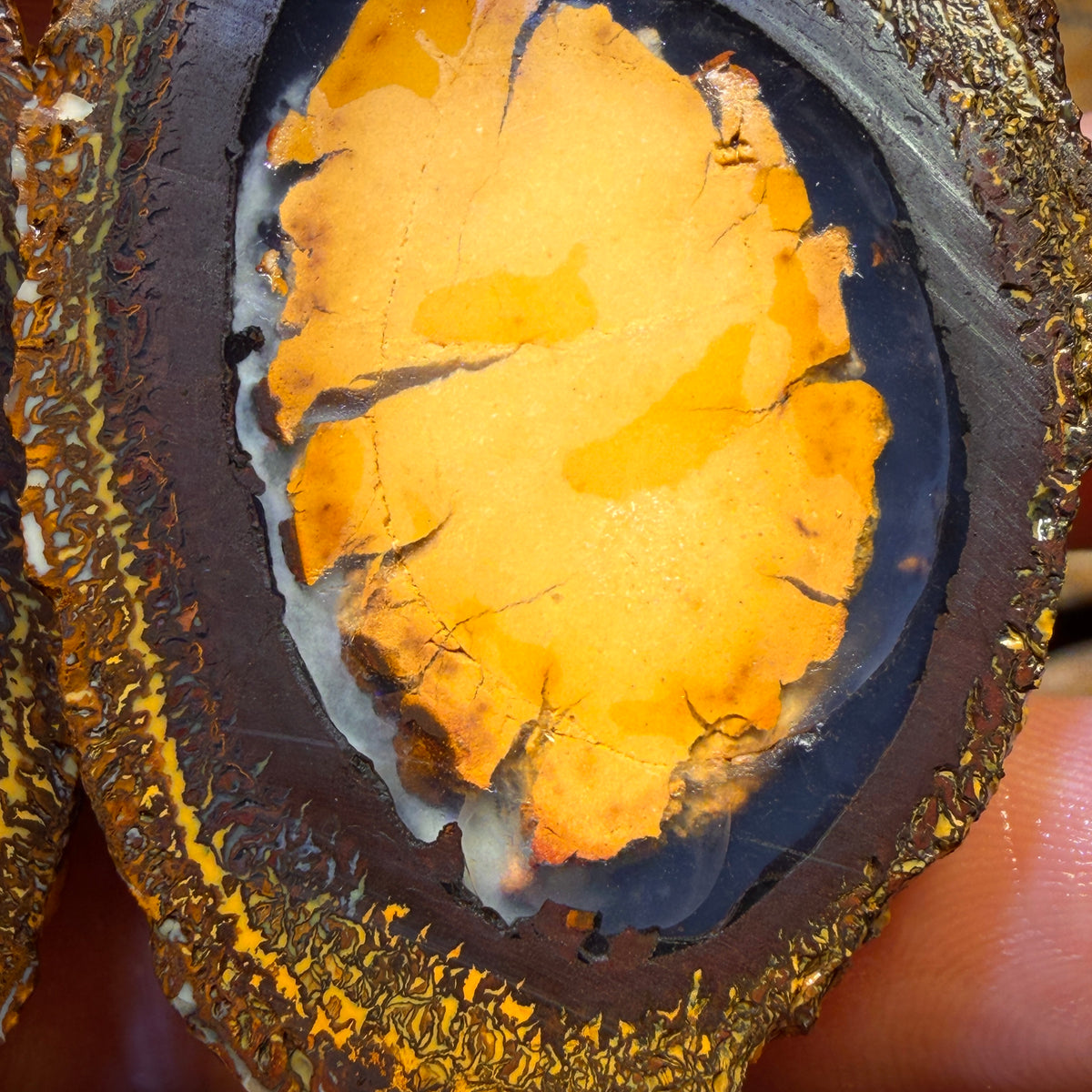 Wildcard! 315.1cts - RARE Yowah Nut Partial Crystal Centre Rough Specimen Pair