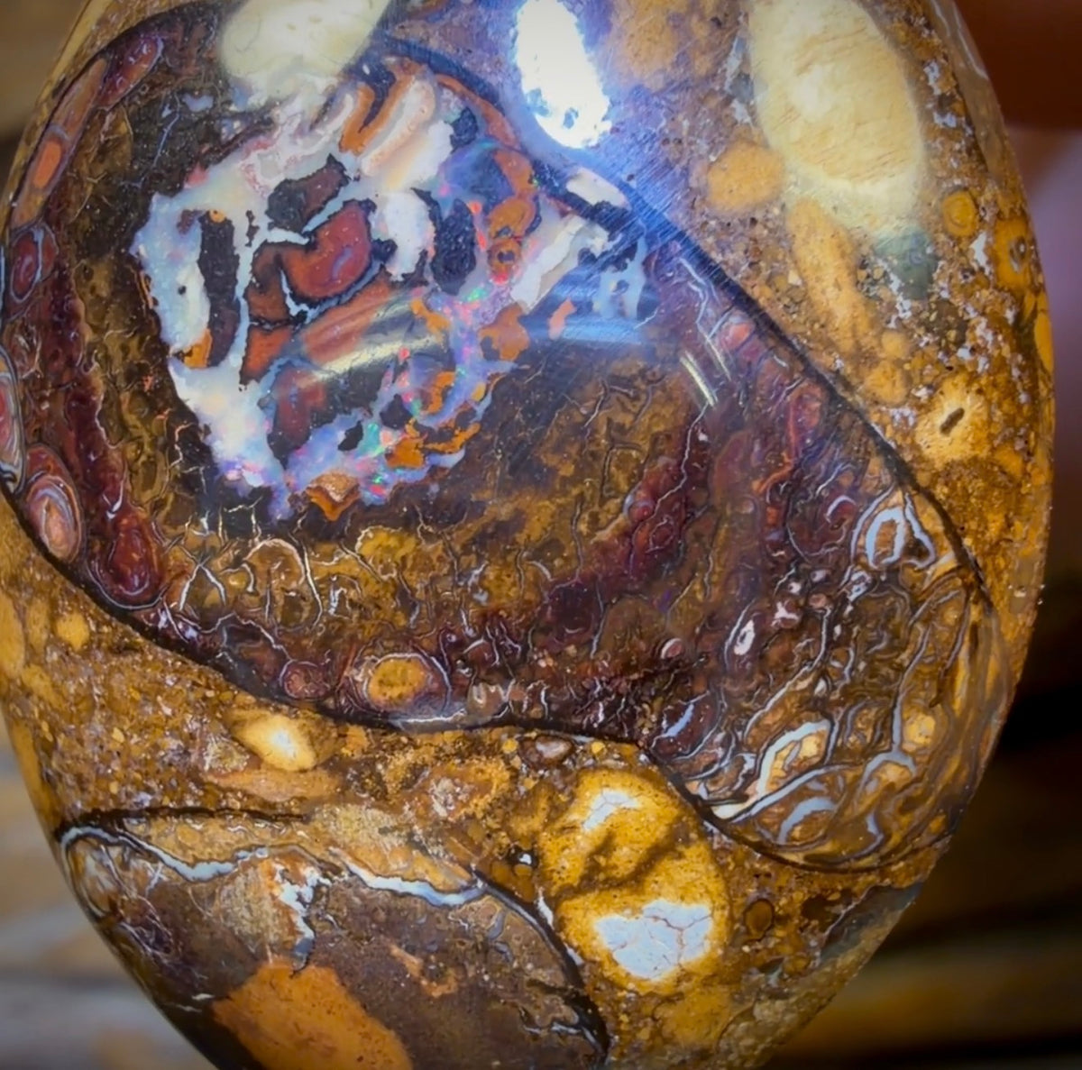 37 x 28mm - Drilled Boulder Opal Pendant w/ Eco Friendly Vegan Cord