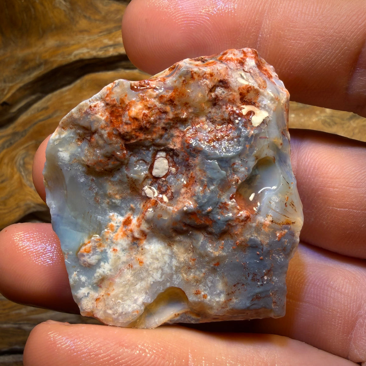 186.1cts - Large Lightning Ridge Dark Opal Rough Piece