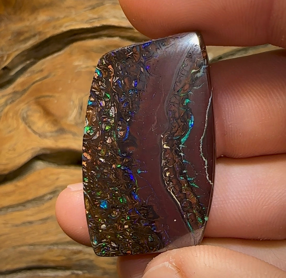 69.7cts - Tribal Pattern Koroit Nut Opal on Deep Ocre Red Ironstone - Opal Whisperers