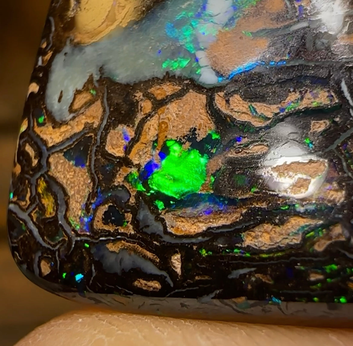 49.1cts - Top Tribal Queensland Boulder Opal. Australian Opal - Opal Whisperers