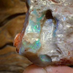 Wild Card! 69.9cts - Lightning Ridge Dark Opal Rough Piece