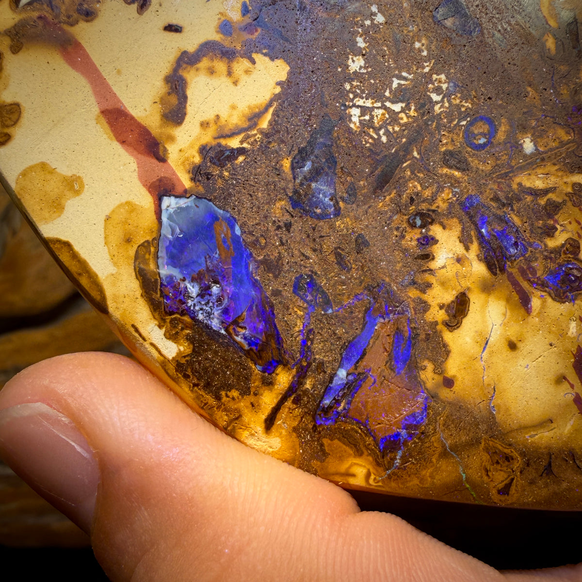 755.5cts - Vegetation Fossil Queensland Boulder Opal. Polished Specimen