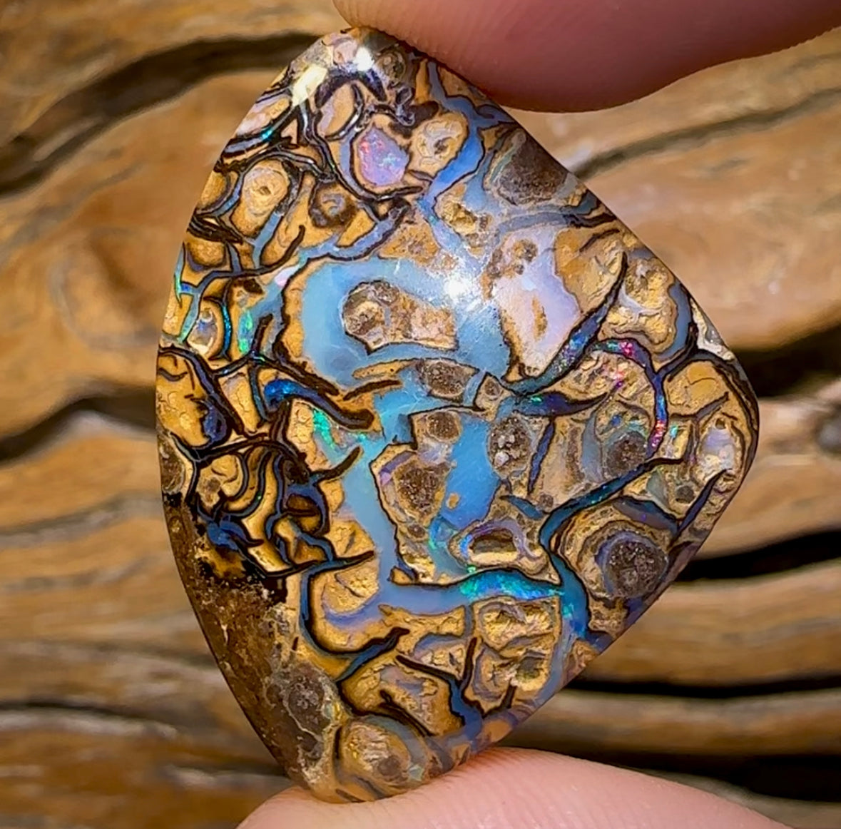 42.7cts - Yowah Nut Tribal Opal. Australian Boulder Opal - Opal Whisperers