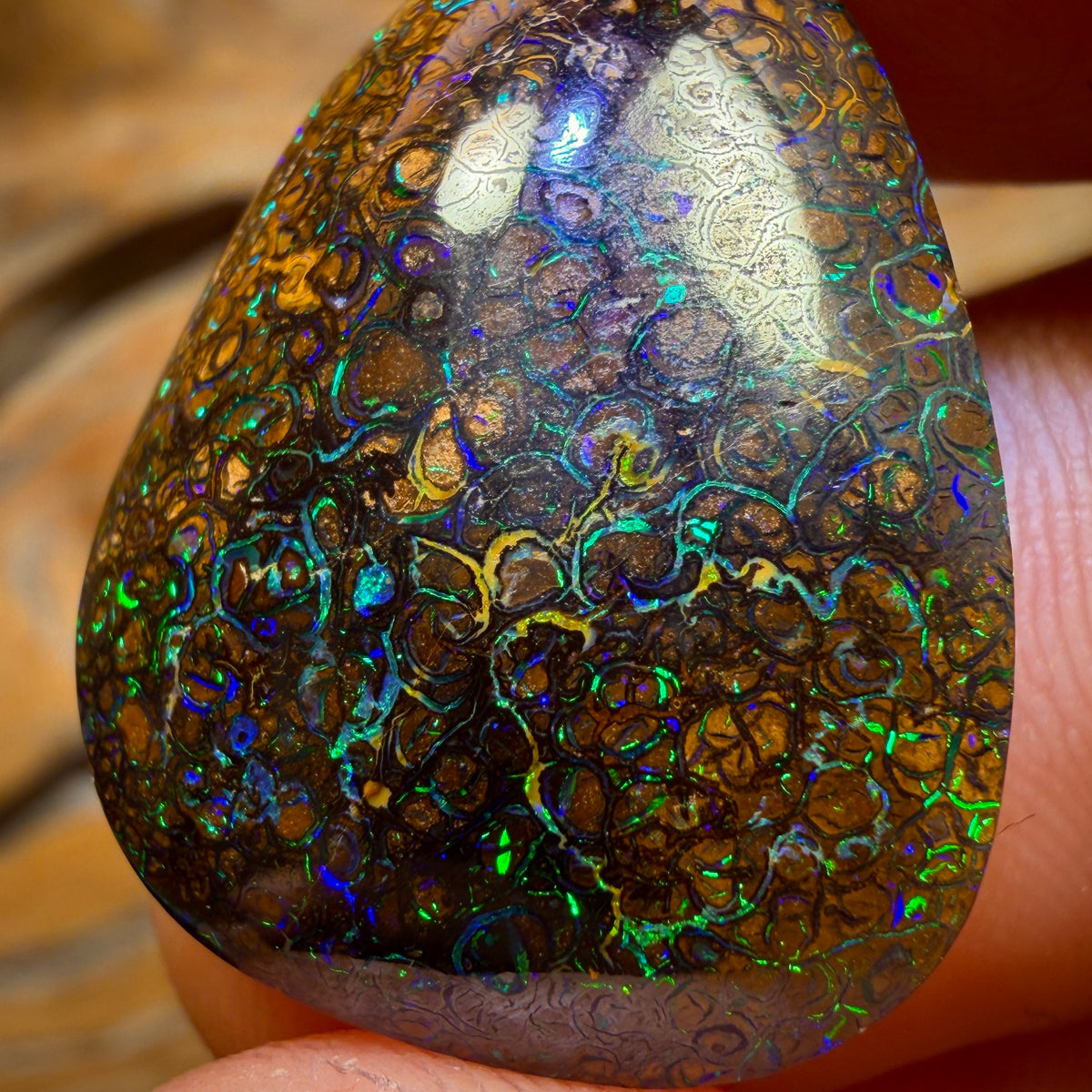 22.1cts - Tan Tribal Queensland Boulder Opal from Yowah. Electric Colour