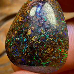 22.1cts - Tan Tribal Queensland Boulder Opal from Yowah. Electric Colour